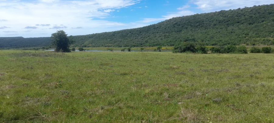 Commercial Property for Sale in Komga Rural Eastern Cape